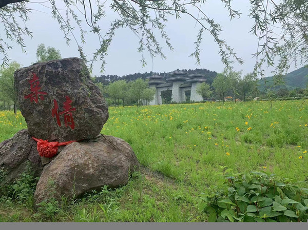 大伙房花海